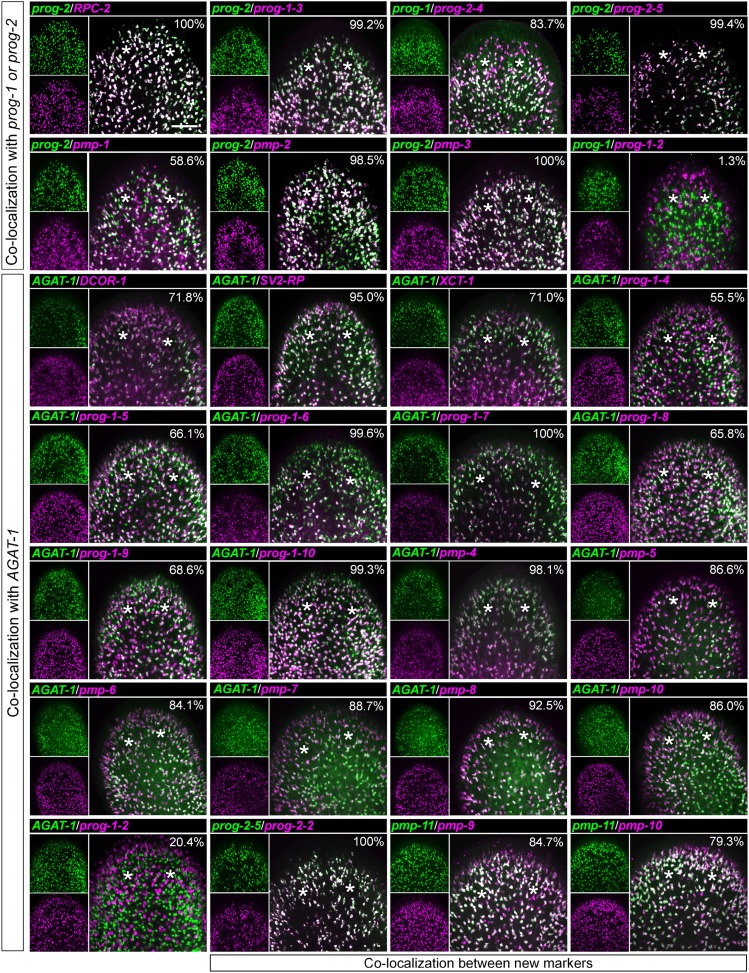 Figure 2—figure supplement 3.