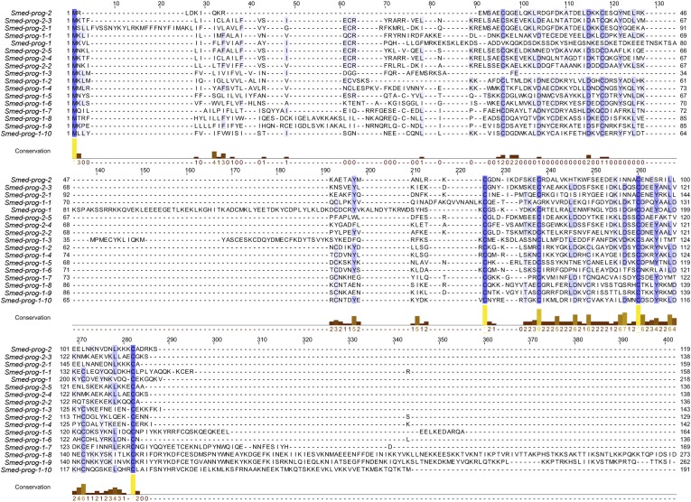 Figure 1—figure supplement 2.