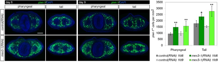 Figure 5—figure supplement 1.