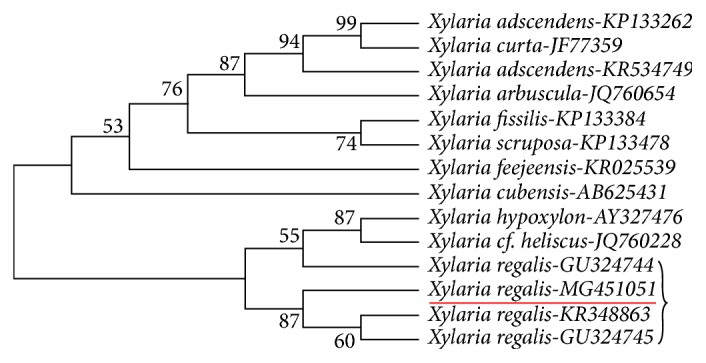 Figure 1