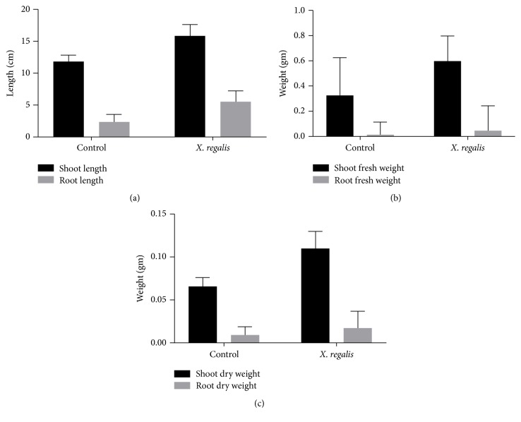 Figure 6