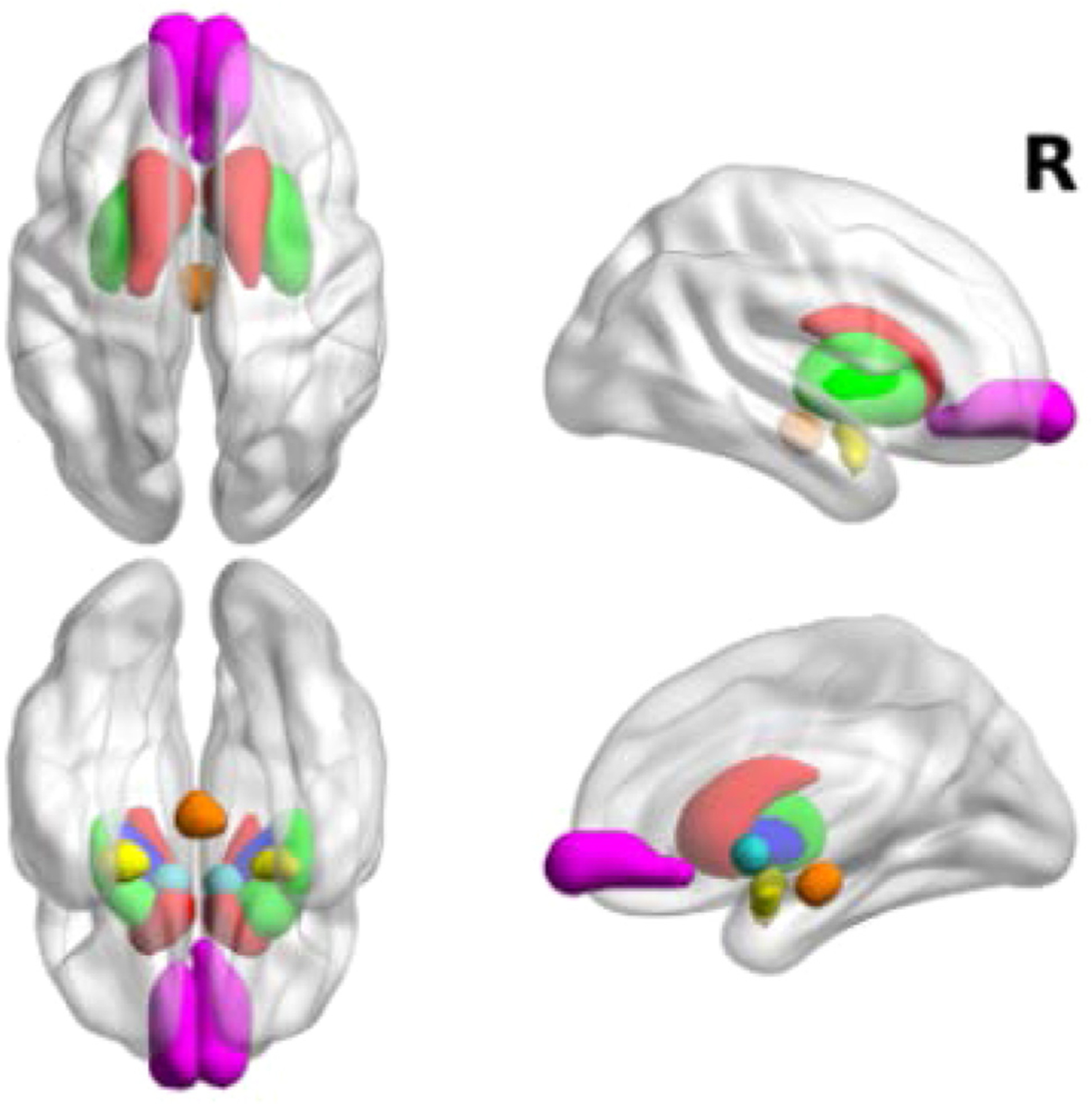 Fig. 3.