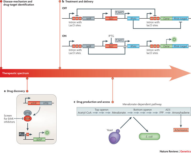 Box 4 | The impact of synthetic biology on the therapeutic spectrum