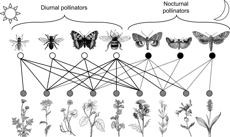 Figure 1.