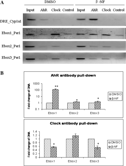 FIG. 6.