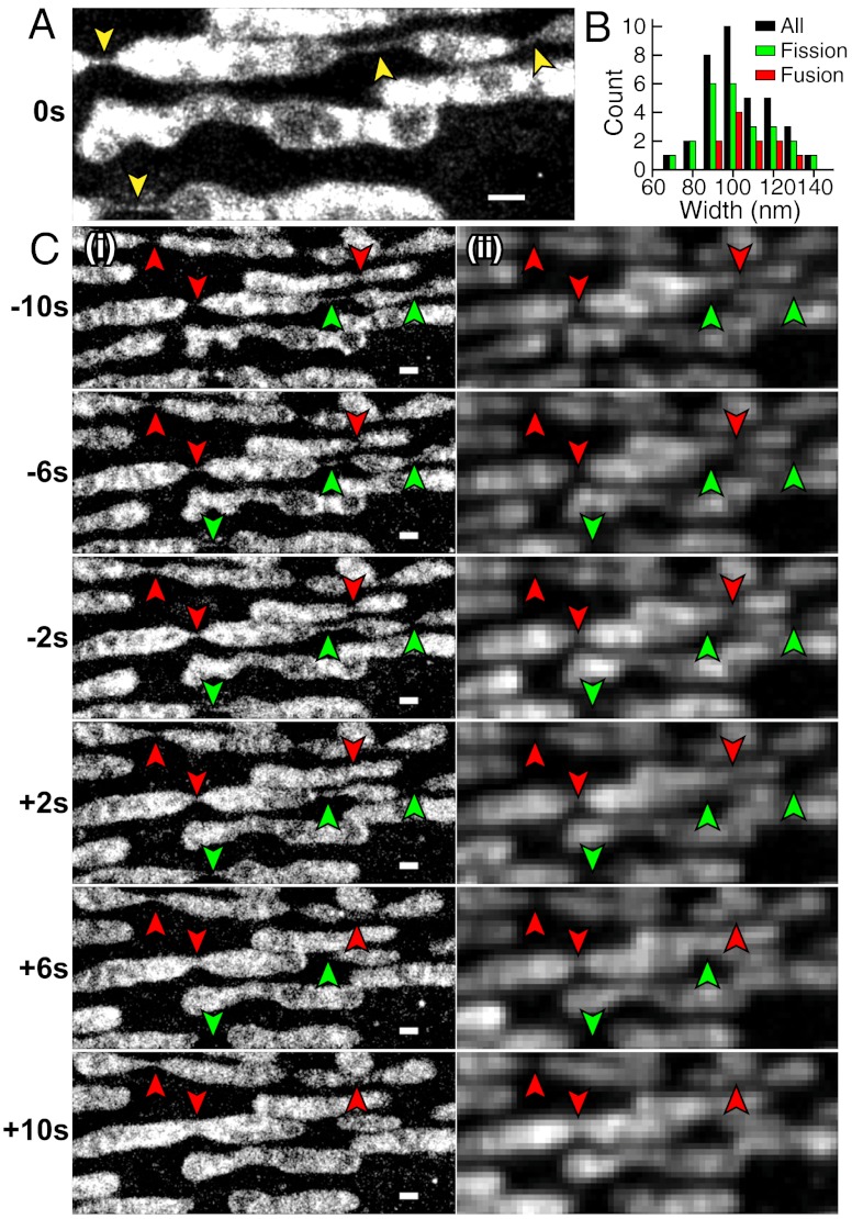 Fig. 4.