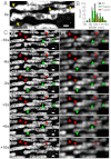 Fig. 4.