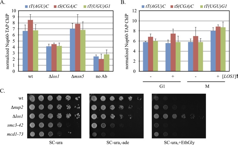 Figure 6.