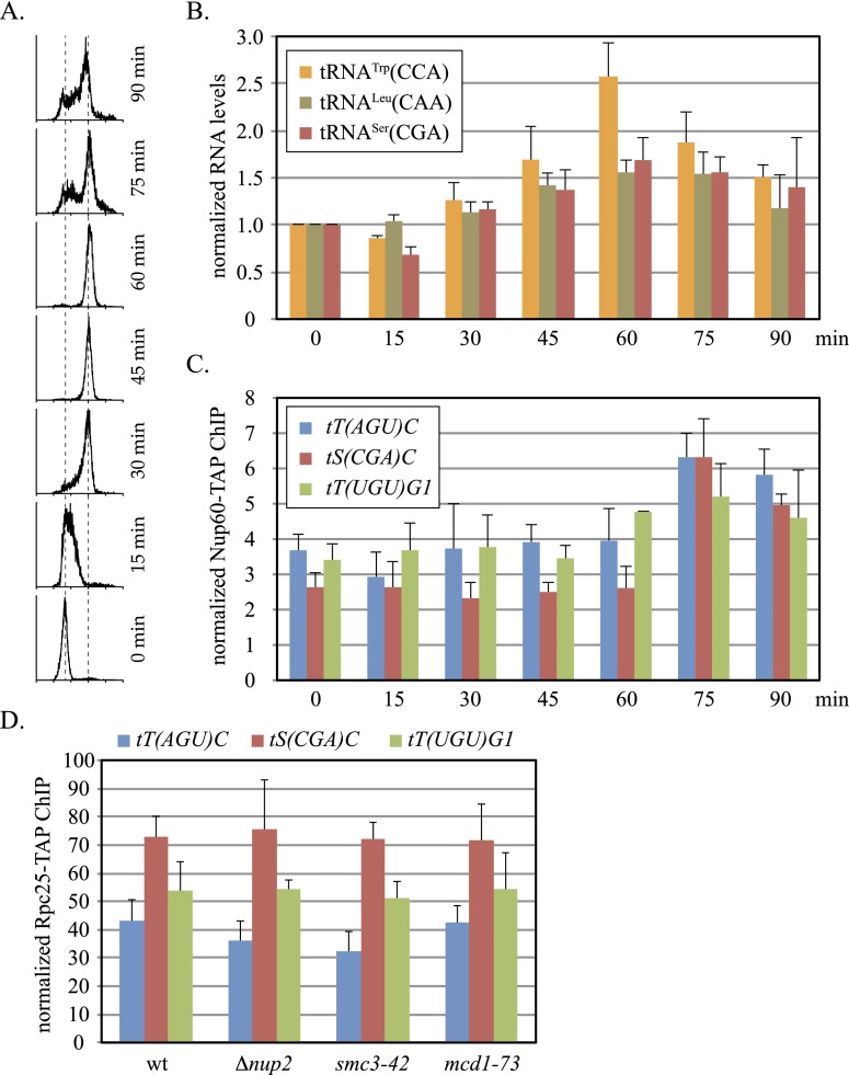 Figure 4.