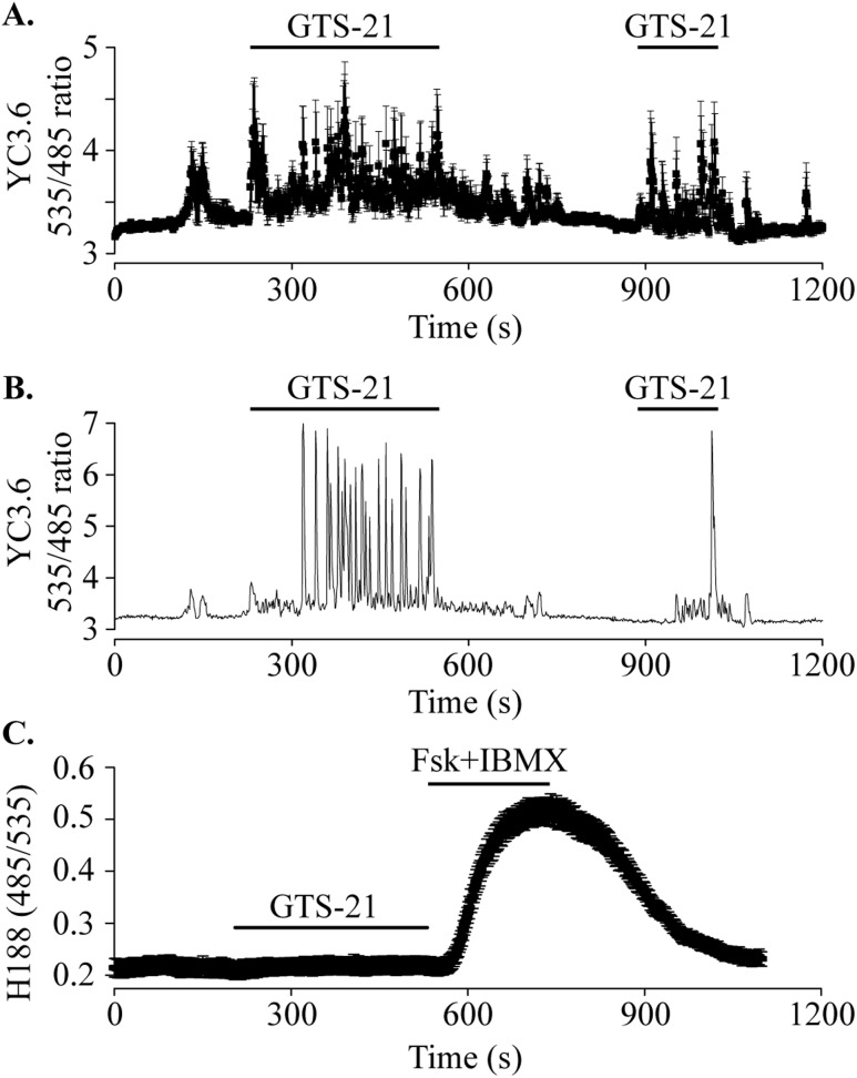 Figure 6.