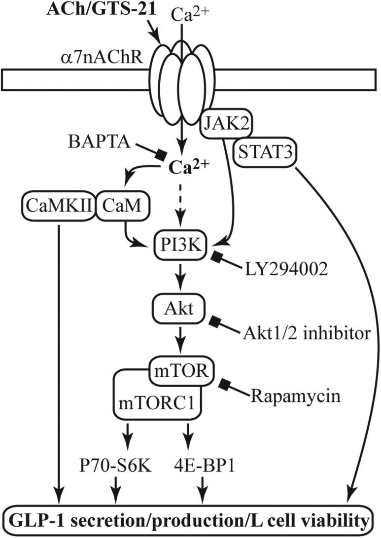 Figure 9.