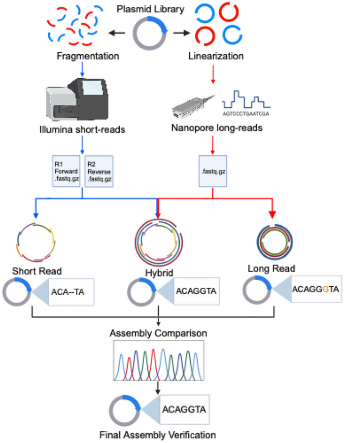 Figure 1: