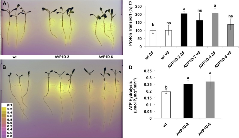 Figure 4.