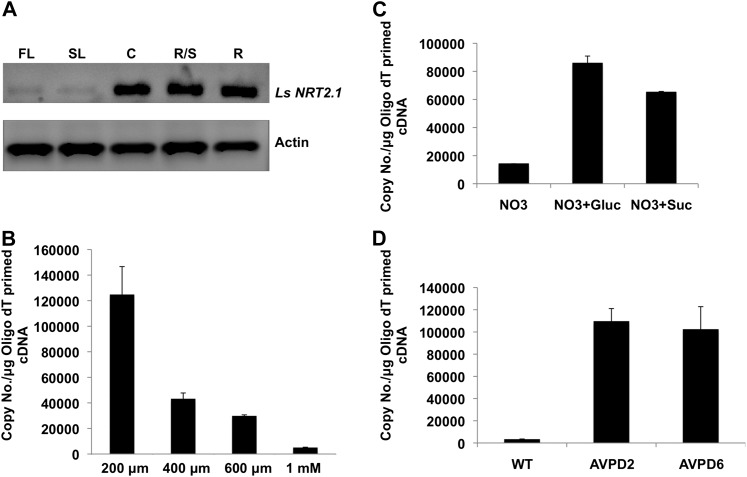 Figure 6.