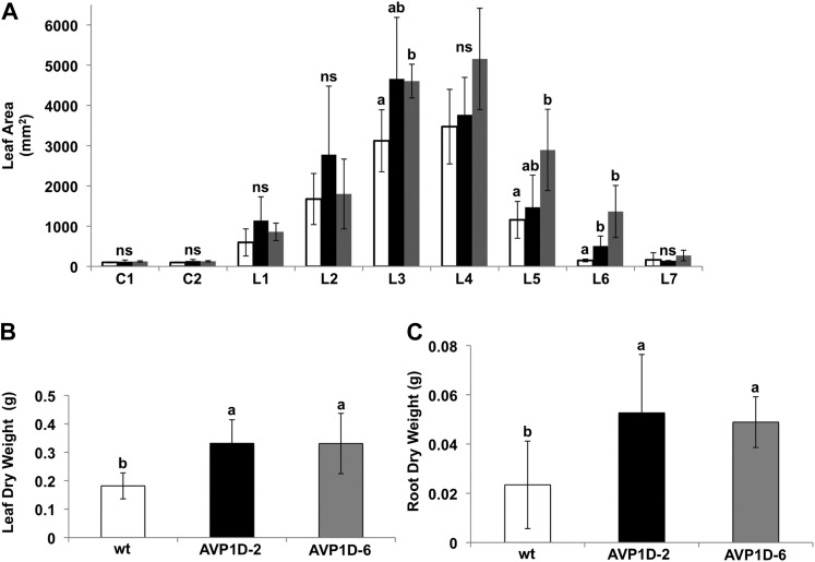 Figure 3.