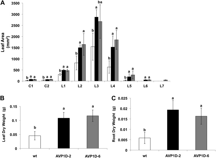 Figure 5.