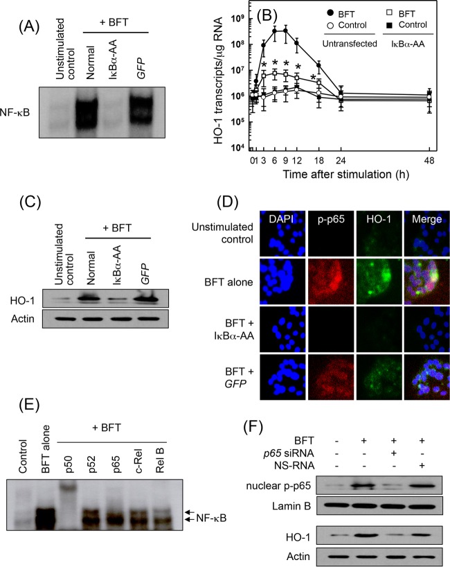 FIG 2