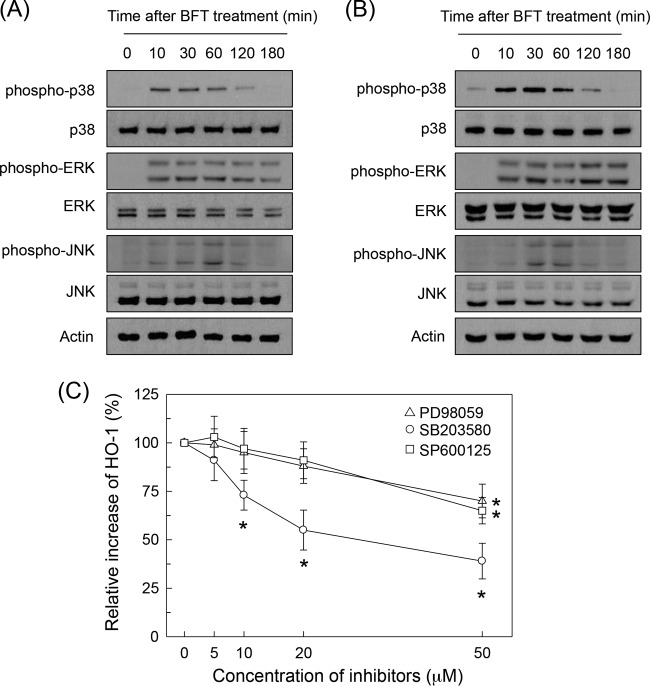 FIG 7