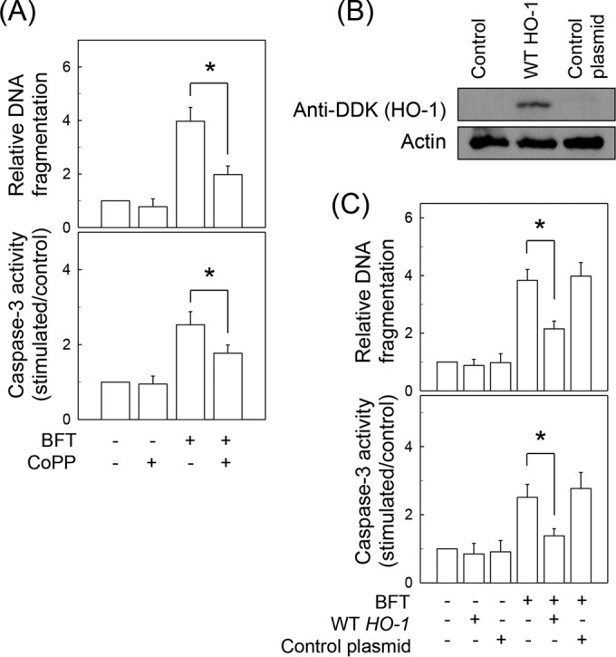 FIG 10