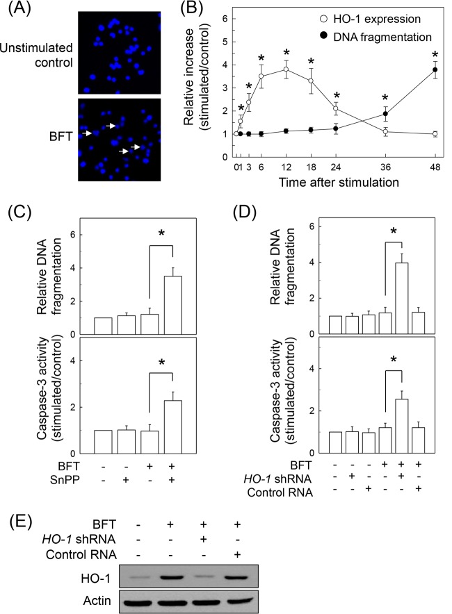 FIG 9