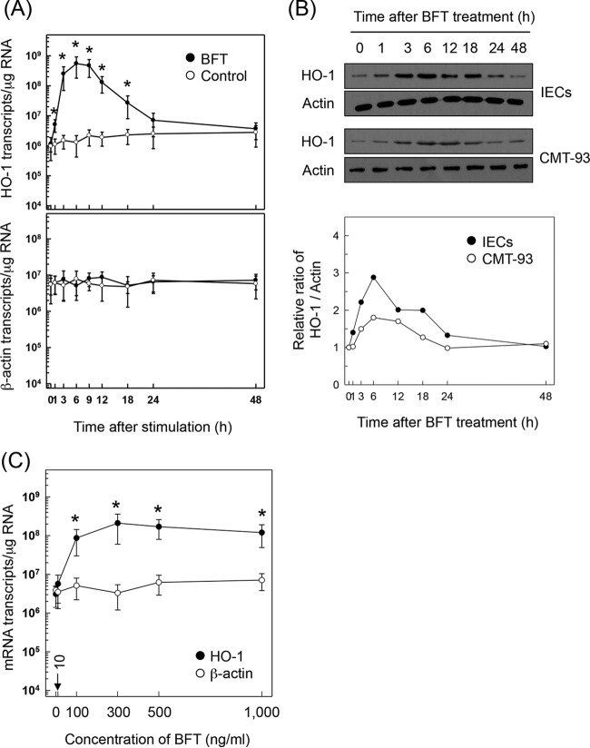 FIG 1