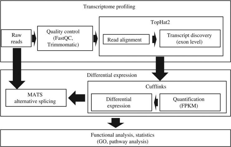 Figure 1: