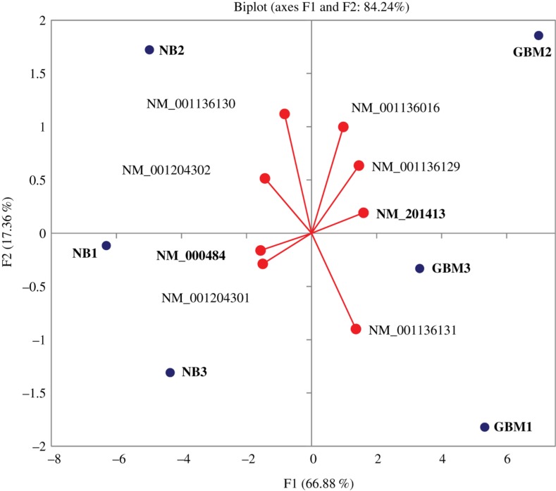 Figure 2: