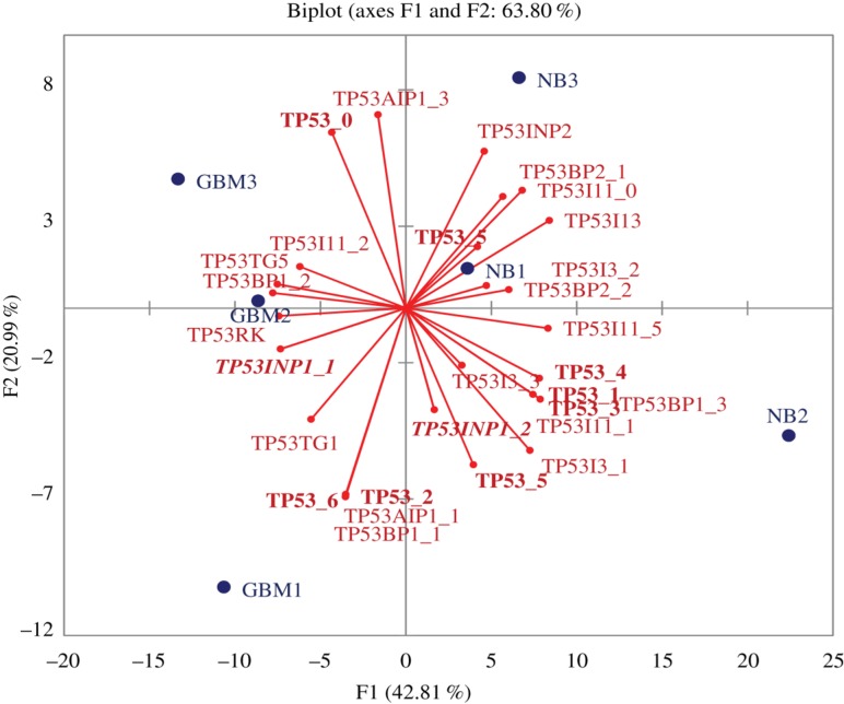 Figure 5: