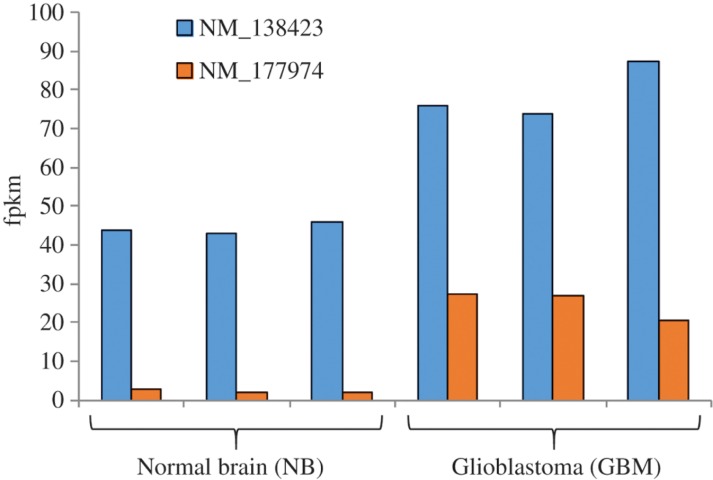 Figure 4: