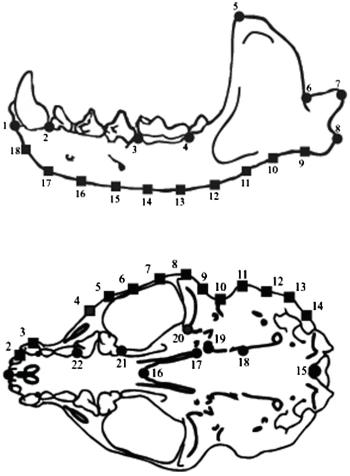 Fig. 2.