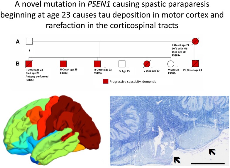 Graphical abstract