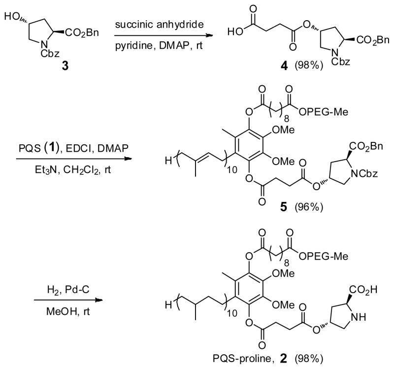 Scheme 1