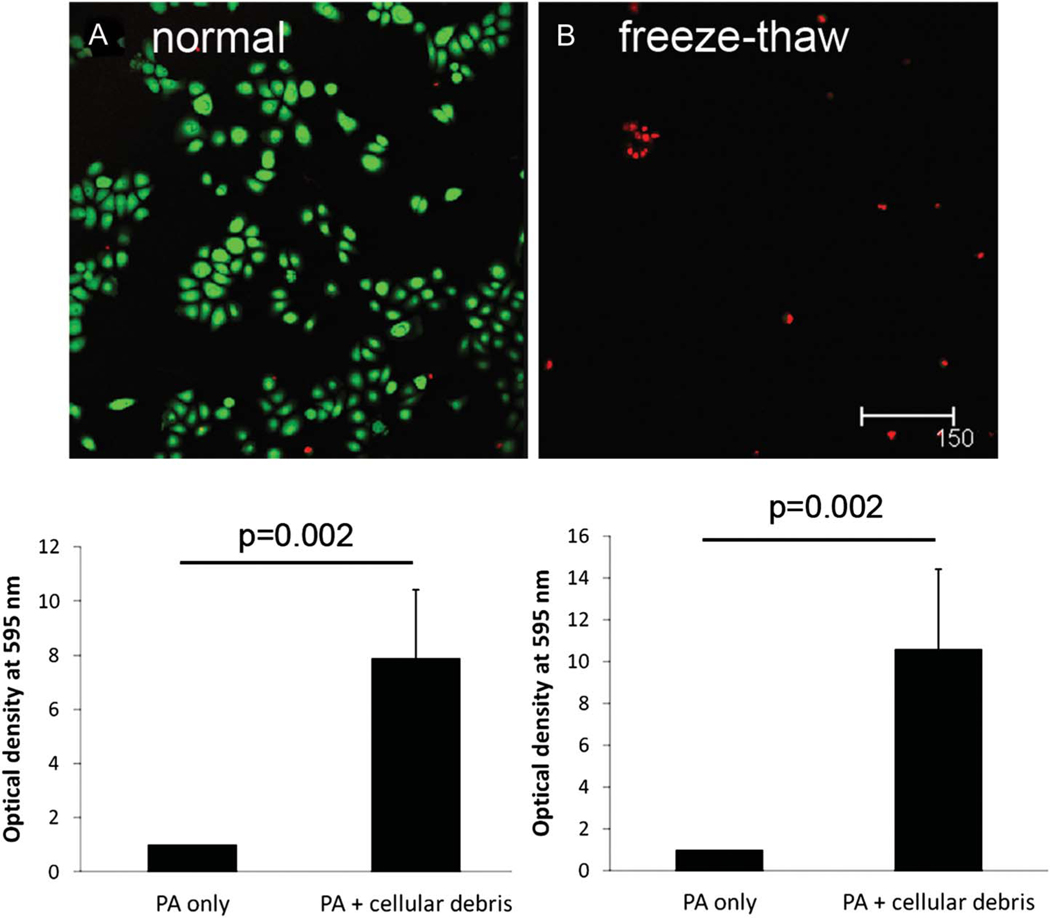 FIG. 3.