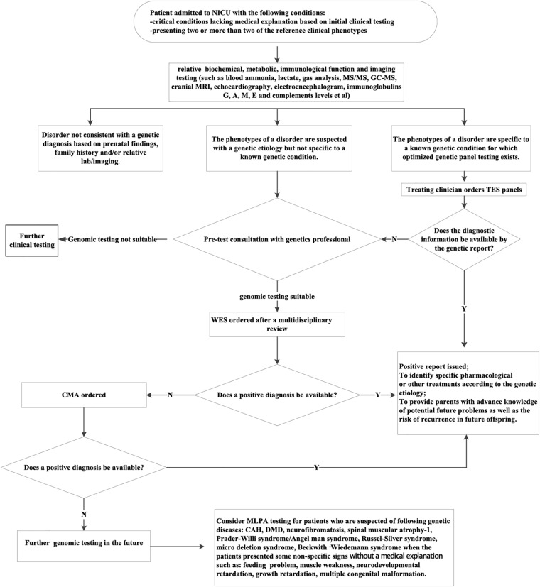 FIGURE 4