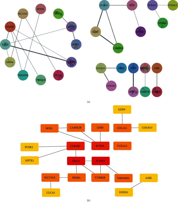 Figure 2