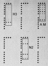 FIG. 5.