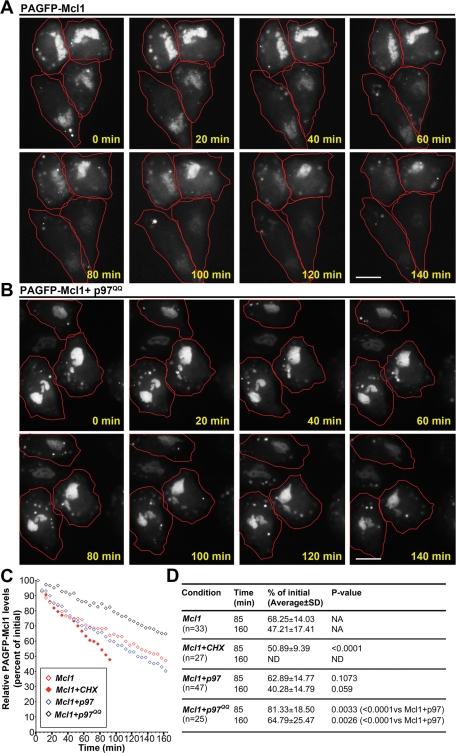 FIGURE 4: