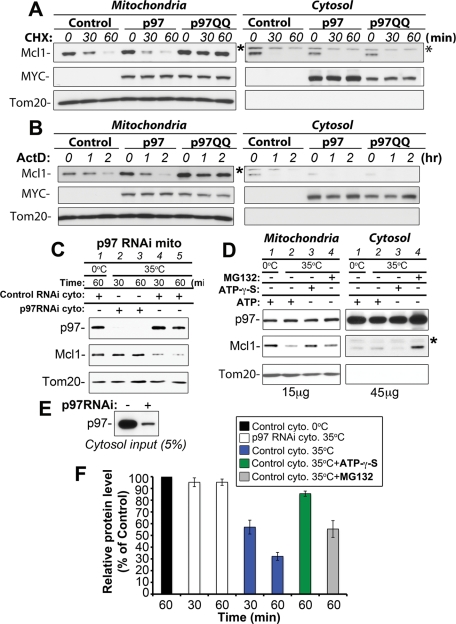 FIGURE 5: