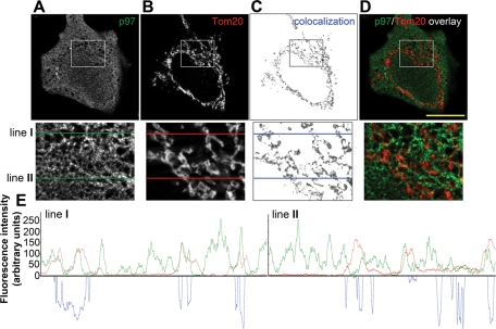 FIGURE 6: