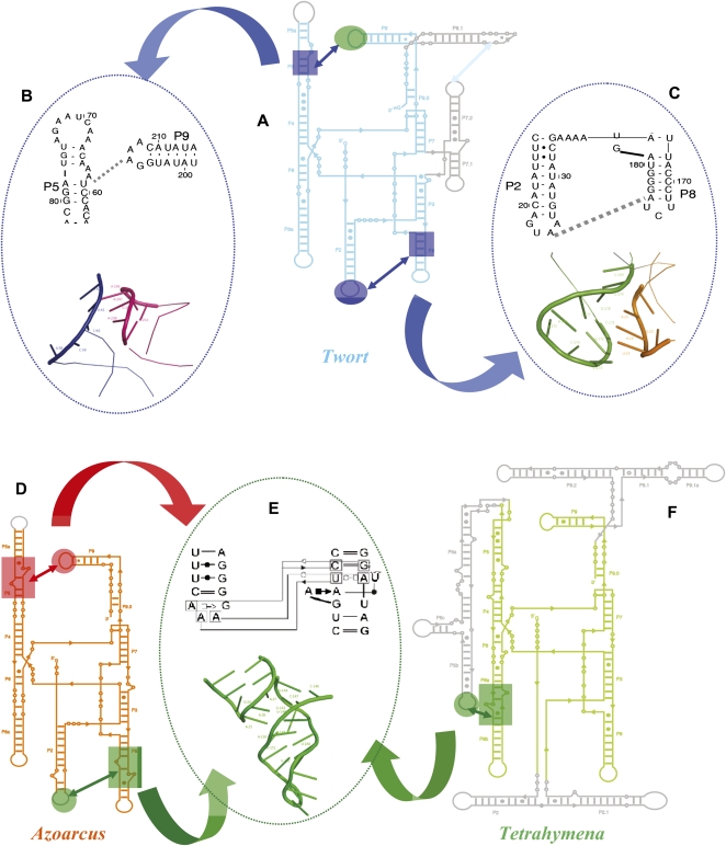 FIGURE 6.