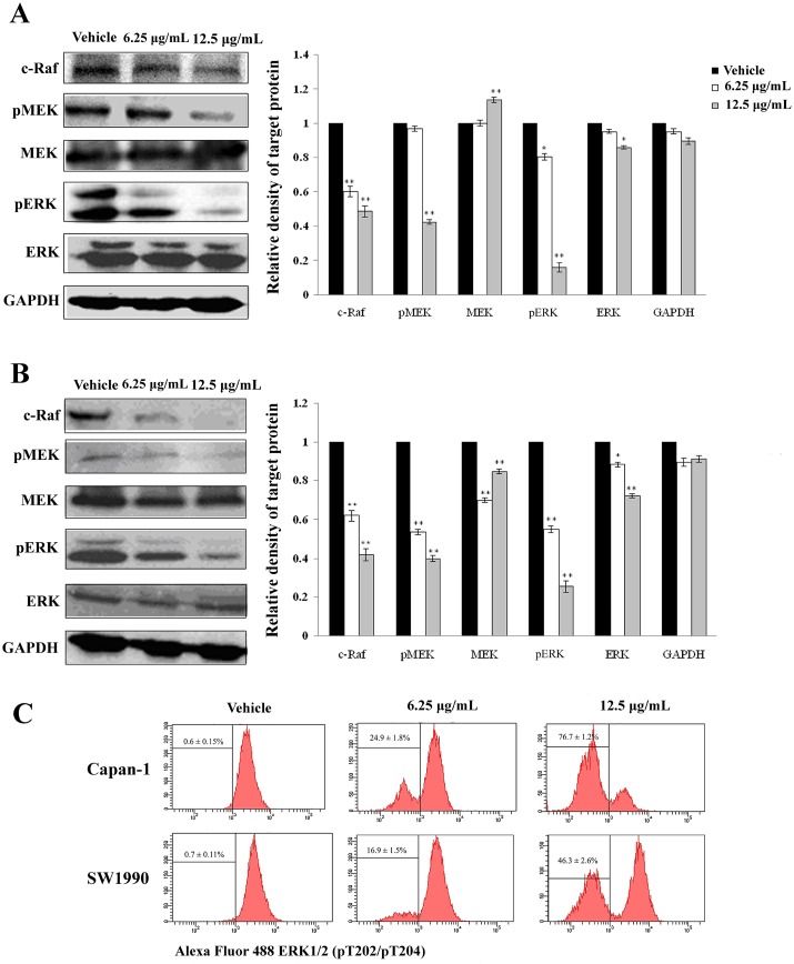 Fig 5