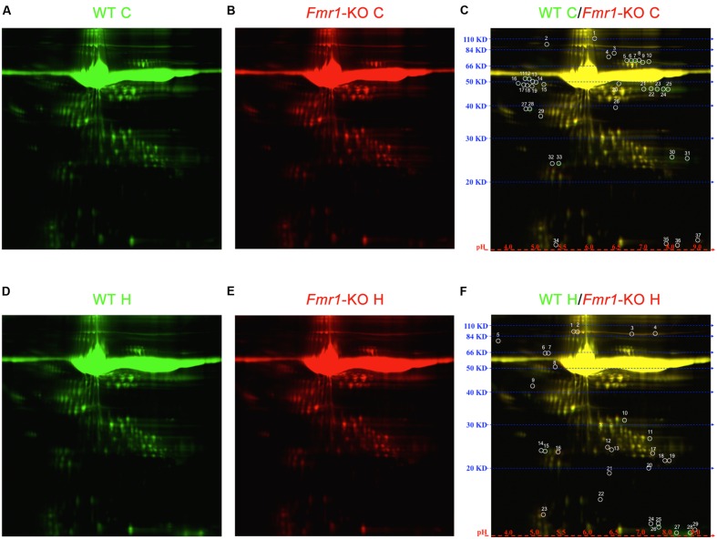 FIGURE 4