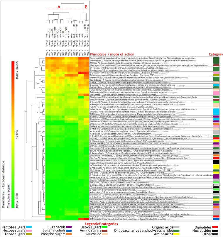 FIG 3