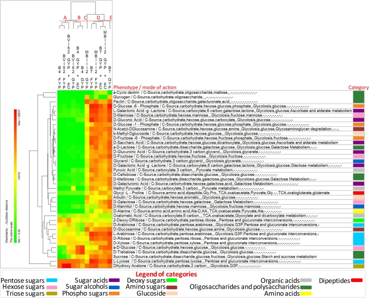 FIG 6