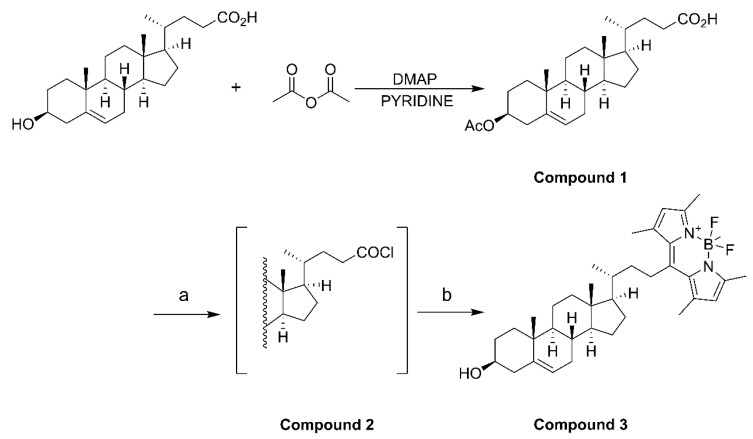 Scheme 1