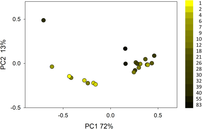 Fig. 2