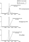 F<sc>ig</sc>. 5.