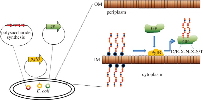 Figure 1.