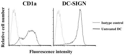 FIG. 1.