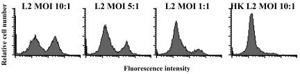 FIG. 7.